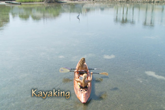 Outside Fun Activities